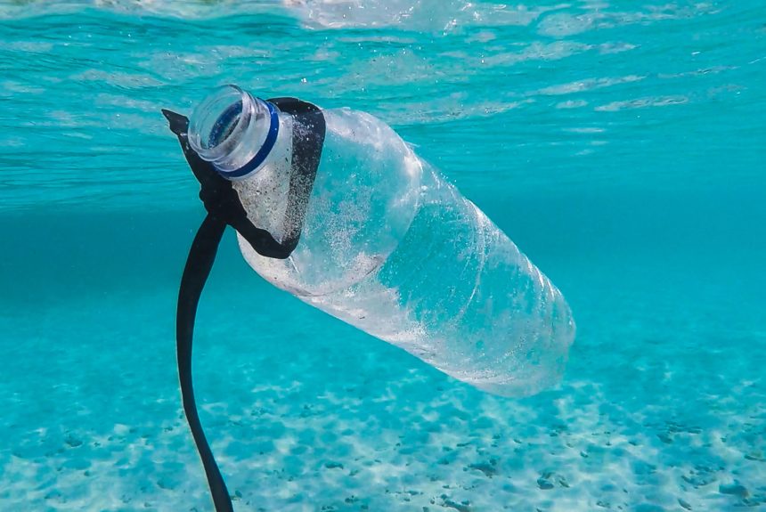 A Google Chrome Extension Removed Over 100 Tons Of Marine Plastics