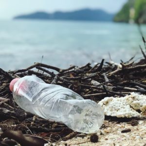 Seven Everyday Items That Are More Environmentally Harmful Than Plastic Straws