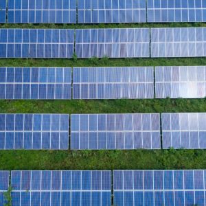A Red State Goes Green — Why Texas Is Adding So Much Solar