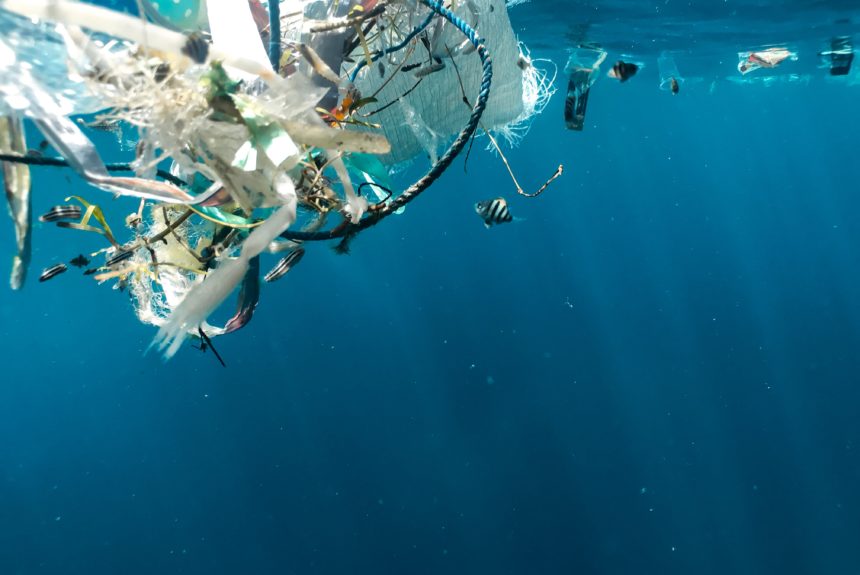 Meet Jellyfishbot, the robot that likes to eat sea trash