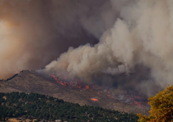 Canadian Wildfire Smoke Is Now a Grid Transmission Risk