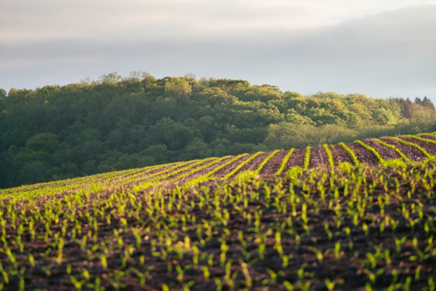 Cargill aims to connect farmers to carbon offset buyers