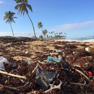 Our Planet Is Drowning in Plastic Pollution, But Several Solutions Are Already Here—Thanks to Human Ingenuity