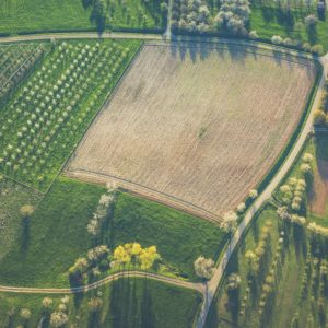 Eliminating Agricultural Subsidies is Good for People and the Planet