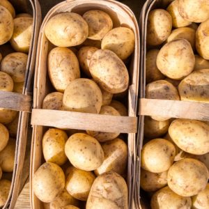 Researchers try producing potato resistant to climate change