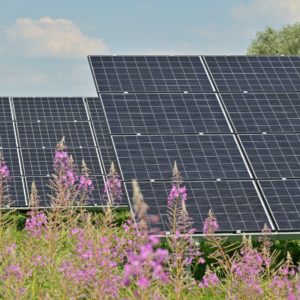 Why Solar Use Is Expanding In States Not Known For Sun