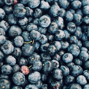 This Maine Farm Is Harvesting the Sun’s Power while it Picks the Blueberries