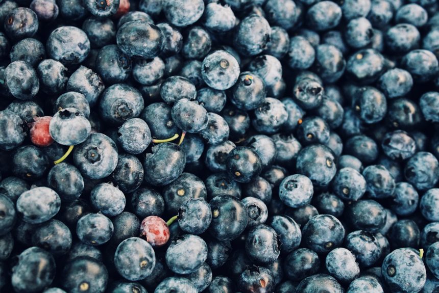 This Maine Farm Is Harvesting the Sun’s Power while it Picks the Blueberries