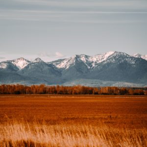 Daines, Tester introduce bipartisan bill to help clean up Montana’s abandoned mines