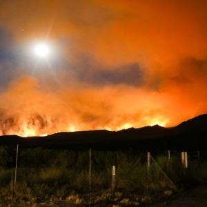 Wildfire risk will jump 30% by 2050, UN says