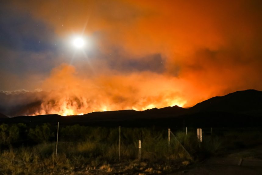 Wildfire risk will jump 30% by 2050, UN says
