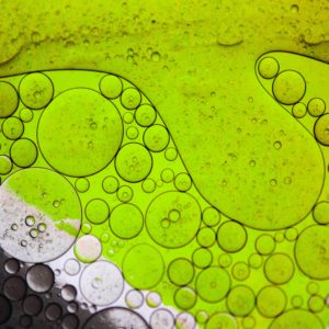 Artificial intelligence helps grow algae for producing clean biofuel