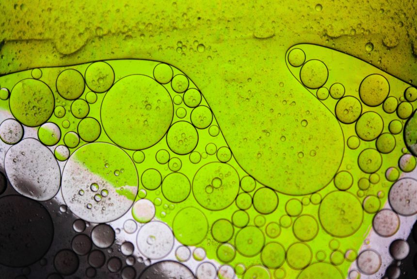 Artificial intelligence helps grow algae for producing clean biofuel