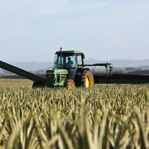 Fertilizer company OCI bets big on climate-friendly ammonia