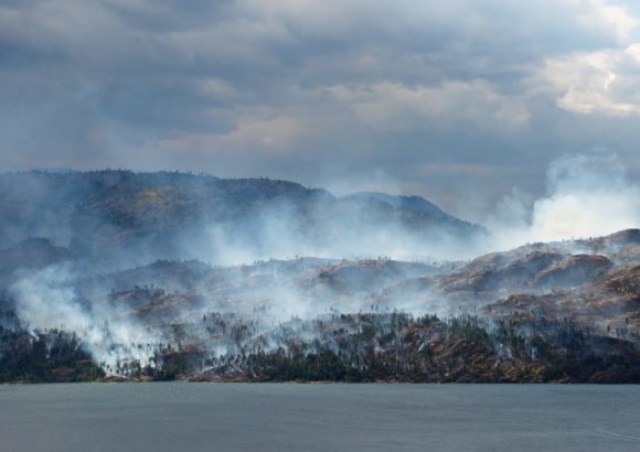 Wildfire prevention needs a better federal framework