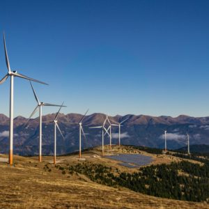 Want Green Energy? Cut Red Tape