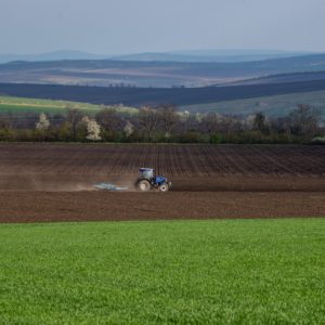 Record Fertilizer Prices Drive Investors, Farmers to Microbes