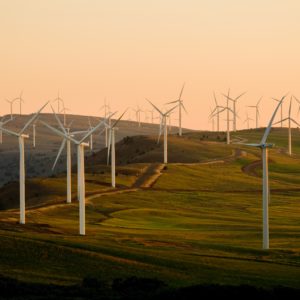 3 Types of Renewable Energy on the Rise in 2023