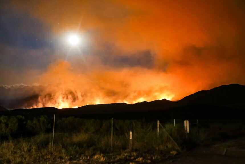 Maui’s neglected grasslands caused Lahaina fire to grow with deadly speed