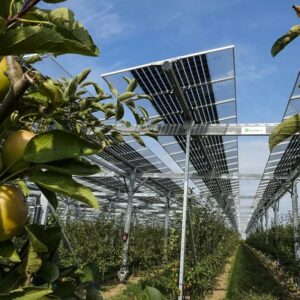 Sweet return: German farmer gets both solar power and apples
