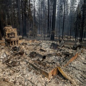Without Reforms to the Environmental Review Process, Wildfires Will Grow Worse