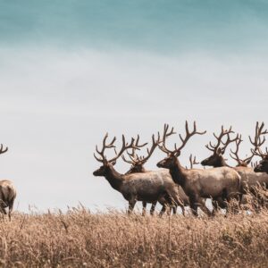 USDA-Wyoming agreement: A new chapter in conservation history