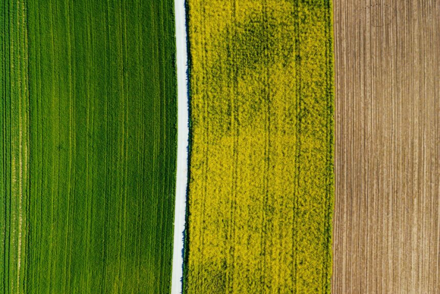 Why Funding Agriculture Research is a Win for the Climate
