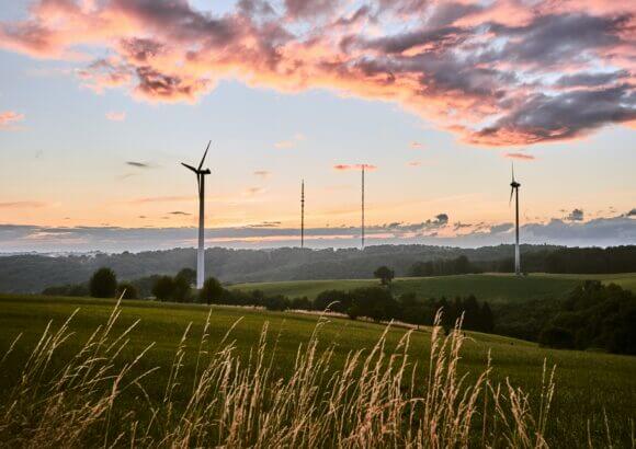 Why States Should Reconsider Renewable Portfolio Standards