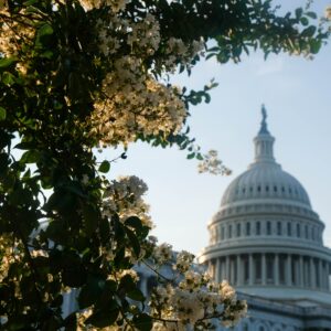 Breaking Down the Major Permitting Reform Bills