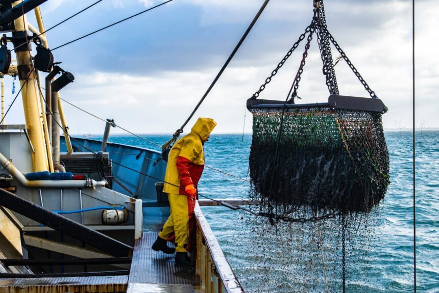 Can We Achieve Sustainable Fishing on a Global Scale?