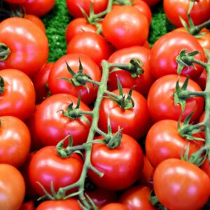 Which fruits and vegetables are best to plant for the environment