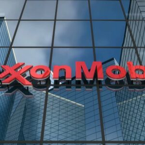 Exxon’s Chief Has a Warning for Republicans