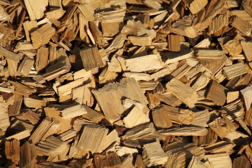 The Next Chips to Transform EVs Could Be Made From Wood