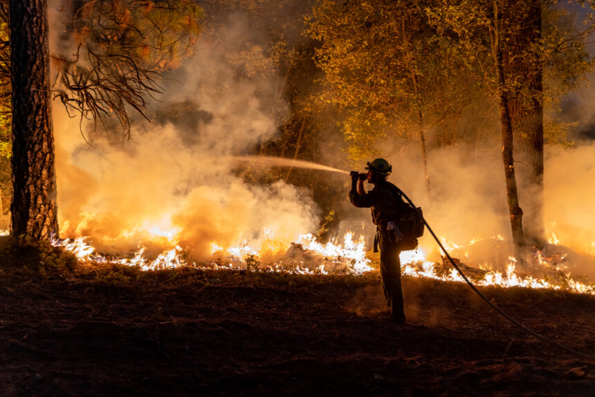 How Artificial Intelligence is Being Harnessed to Predict and Prevent Wildfires
