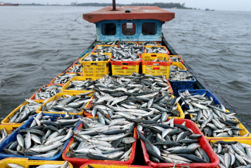 Market-Based Solutions at Sea: Leveraging the WTO to Save Our Oceans