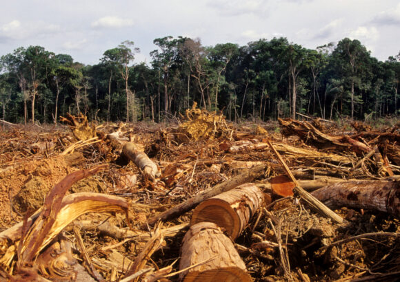 Biden makes historic visit to Amazon rainforest, declares International Conservation Day