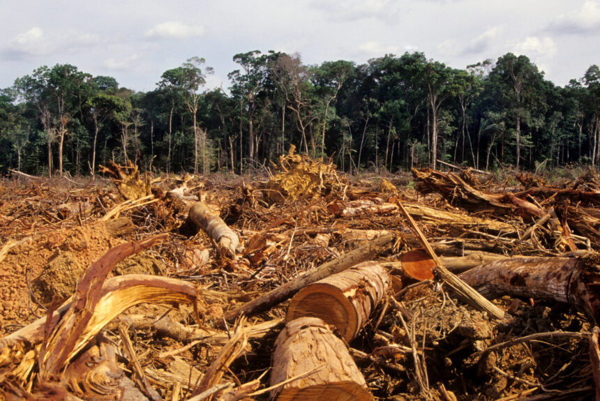 Brazil and Colombia are curbing destruction of Amazon rainforest