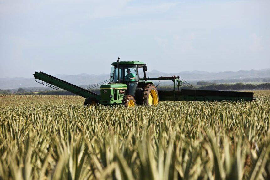 AI is Helping Farmers Kill Weeds