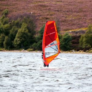 The Olympic windsurfers and rowers fighting invasive alien species