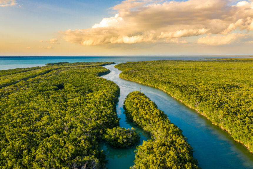 How the Florida Wildlife Corridor Can Lessen the Impacts of Climate Change