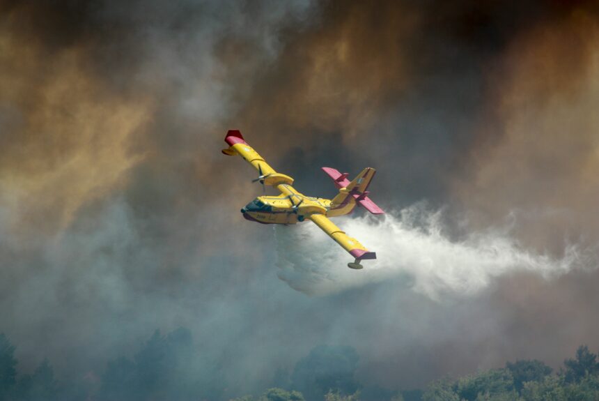 Wildfire intensity rises across northern hemisphere