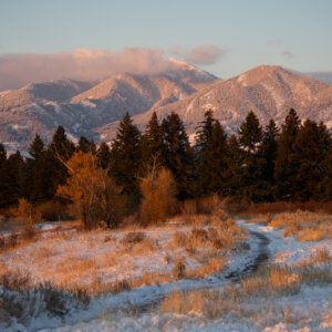 Pray for Snow, Plan for Fire