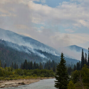 Fighting Fire with Federalism