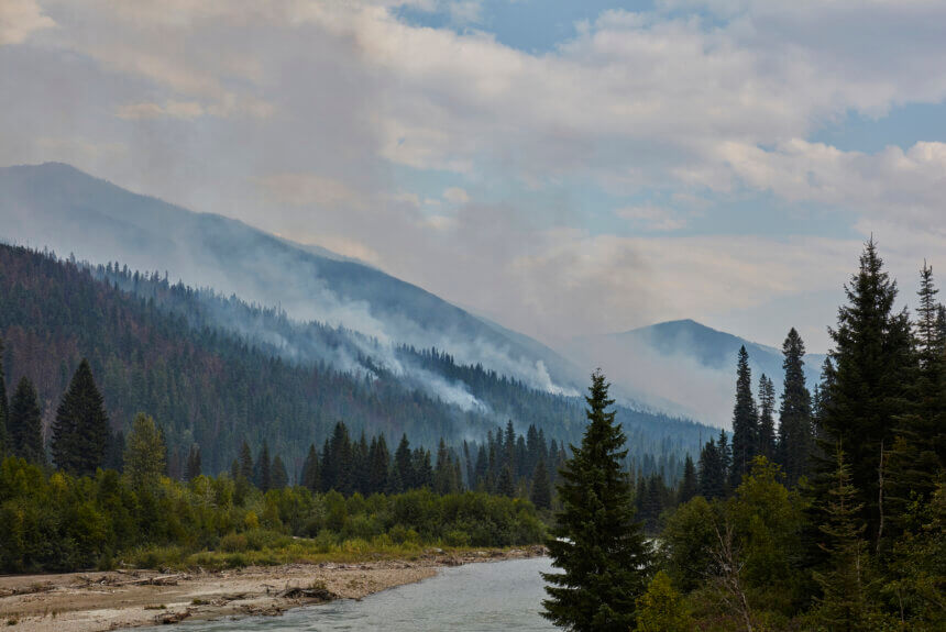 Fighting Fire with Federalism