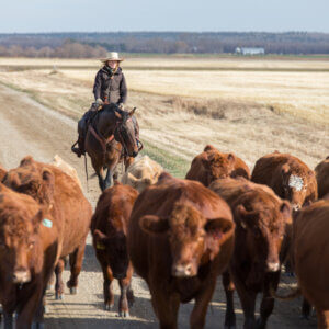 Ranches face a generational crisis, and virtual fencing can help