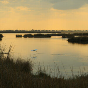 Louisiana’s Coastal Crisis Won’t Be Solved in Court