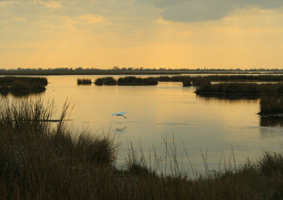 Louisiana’s Coastal Crisis Won’t Be Solved in Court