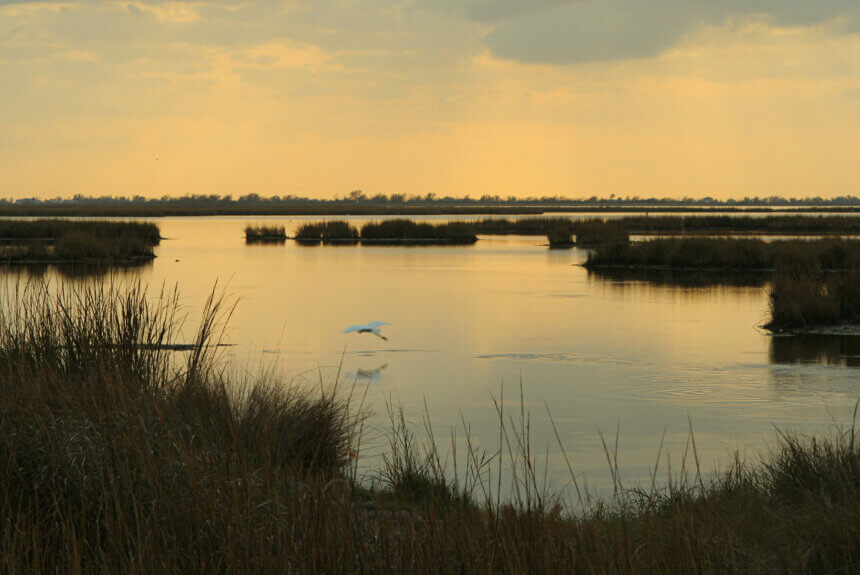Louisiana’s Coastal Crisis Won’t Be Solved in Court