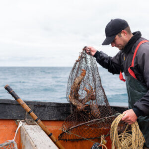 In New England, Catching Climate Data Along With Fish