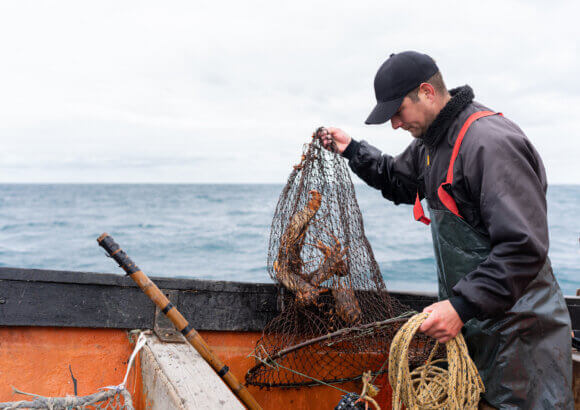 In New England, Catching Climate Data Along With Fish